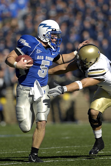 当地社群的 当地社群的